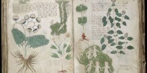 Códice medieval con imágenes de plantas